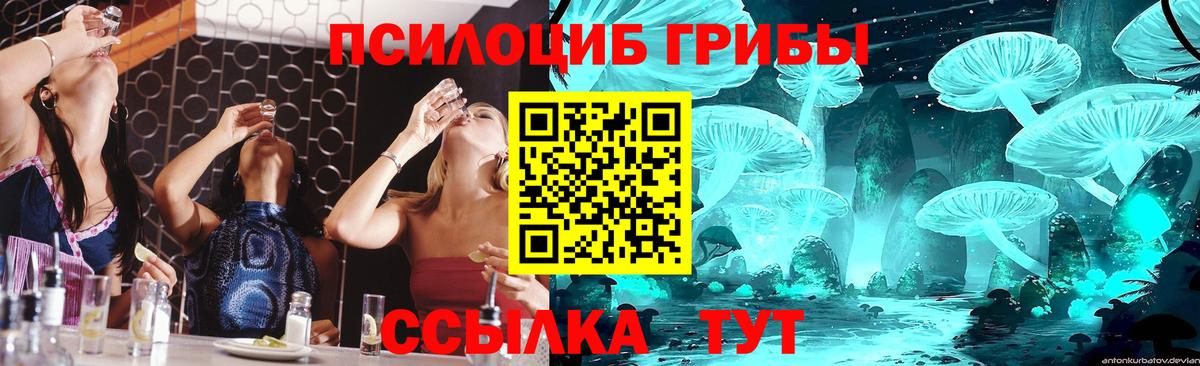 Владикавказ  Псилоцибиновые грибы мухоморы  Галлюциногенные грибы Psilocybe  Вход с VPN 