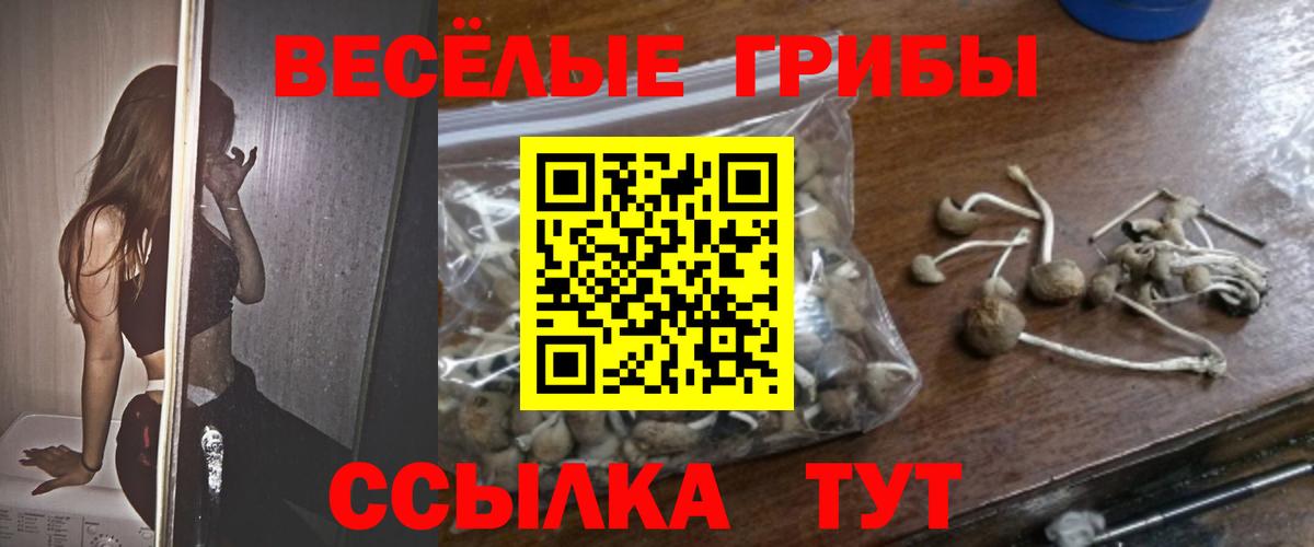 Псилоцибиновые грибы ЛСД Владикавказ